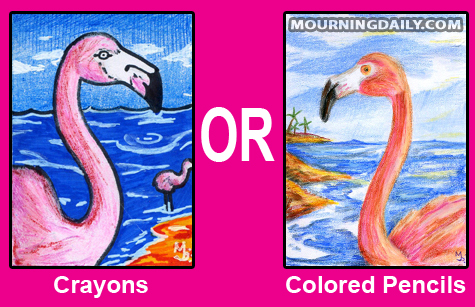 Flamingo Comparison 