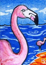 Flamingo Crayon
