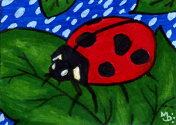 Lady Bug