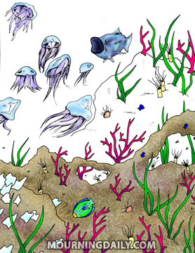 Sea Floor Jelly Fish