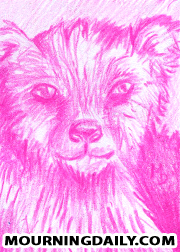 Pink Bear